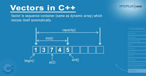 C++ Vectors (With Examples) .